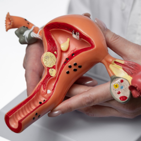 Mr. Joerg Ayrle image