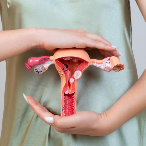 Mr. Joerg Ayrle image