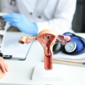 Mr. Joerg Ayrle image