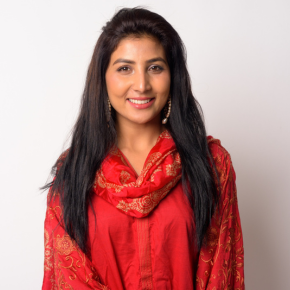 Mr. Dilip Kadambi image